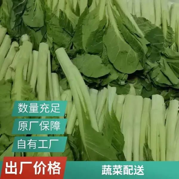 深圳松岗有机蔬菜配送工厂食堂承包价格优惠