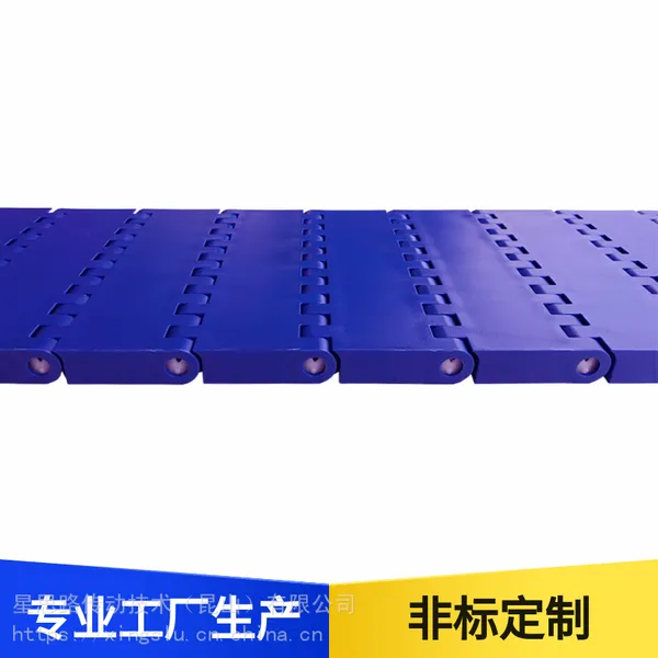 昆山星思路 专业定制平板模块网带 蓝色塑料网带链耐高温易清洁批发