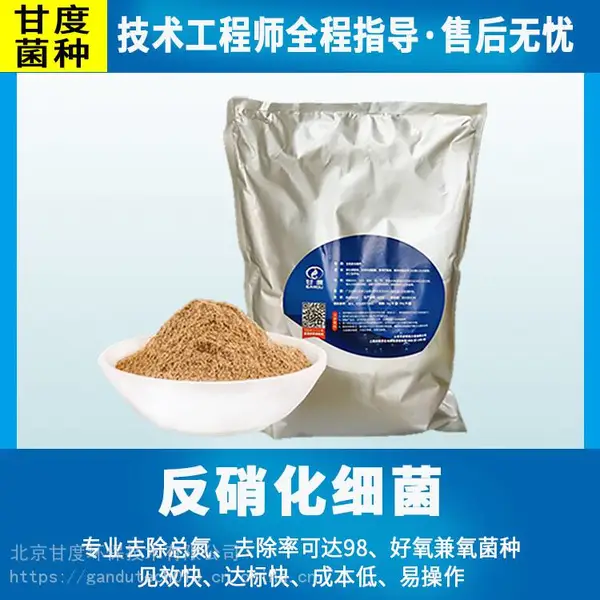 甘度反硝化细菌 总氮降解菌种 污水菌种厂家批发