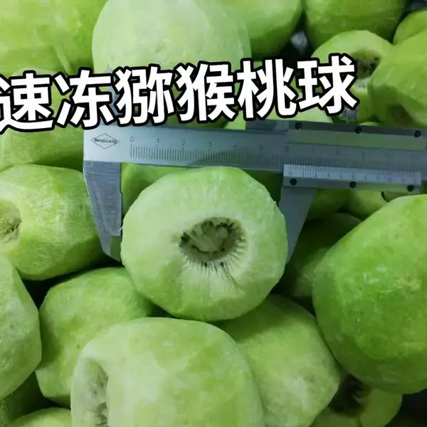 杞动能量 工厂直供速冻水果猕猴桃球 奇异果球 冷冻猕猴桃球批发