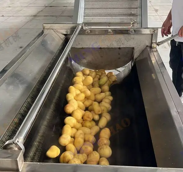 全自动毛辊清洗脱皮机 土豆红薯根茎果蔬加工设备