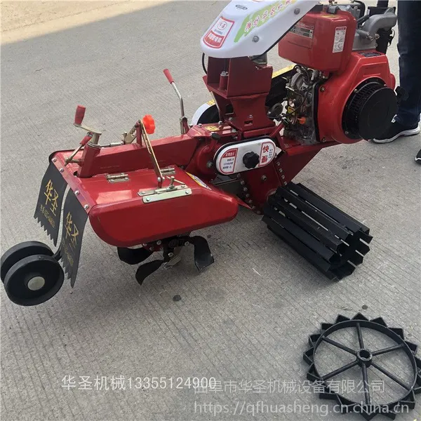 ��������ֲ������л� С������ʽҩ�Ŀ���������