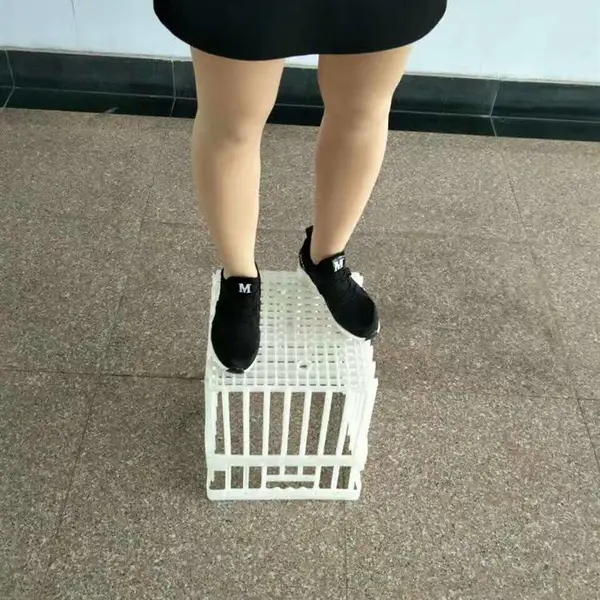 �ֵ���ת�� ���ϵ��� ����42ö36ö�������õ���