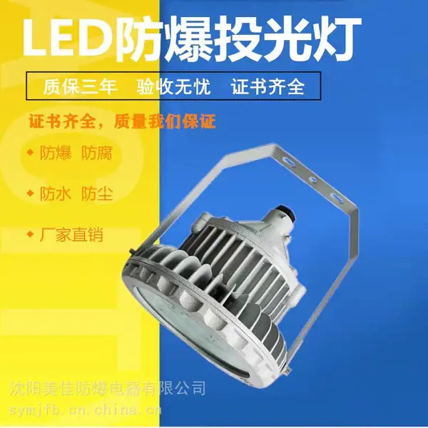 ��ͨ LED������ Ͷ��Ʒ���ƻ������������100W200W