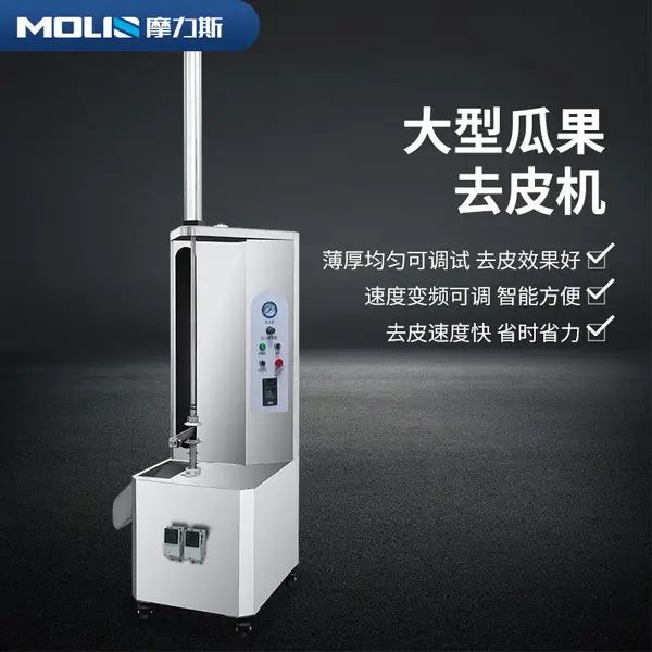 大型瓜果刨皮机 哈密瓜南瓜冬瓜商用芋头去皮机