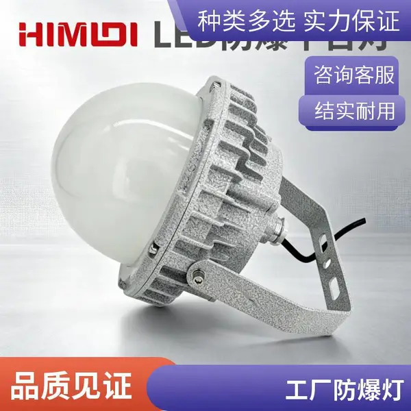 防爆泛光灯50W 吊杆式防爆照明灯 加油站防爆灯具