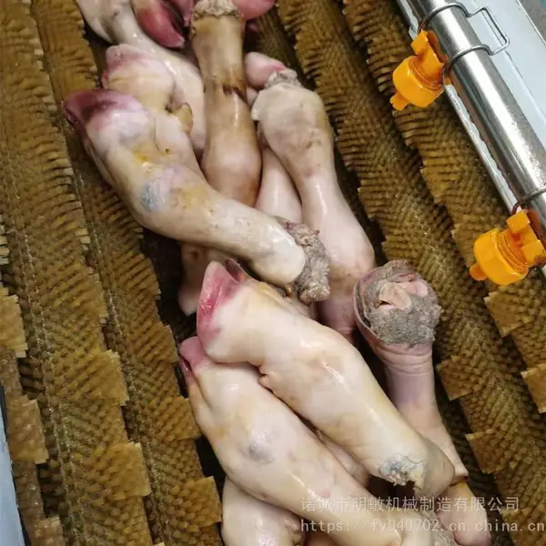 明敏牌牛蹄清洗机 火烧牛蹄毛刷清洗机 1800型不锈钢羊头蹄清洗机器