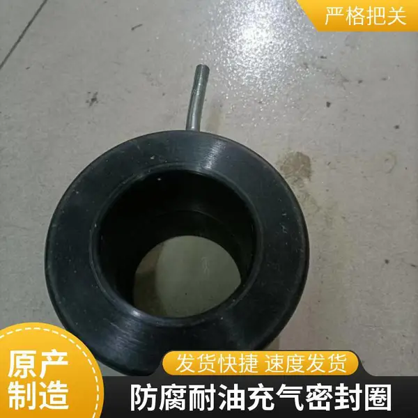 ʯ�ͻ����� �ų�ѹ�����������ܷ�Ȧ��轺���� �����¿�˺��