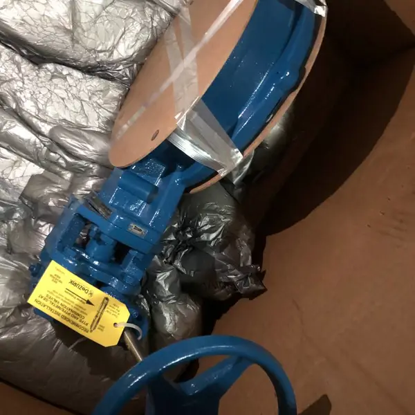 ��Ӧdezurik�ֶ�����BHP10W2CSTCS2-S***-FT-TT*MG-101