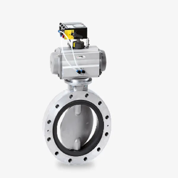 �¹�warex-valve DKZ 105 SKϵ�� ��װ����� DN150-DN300