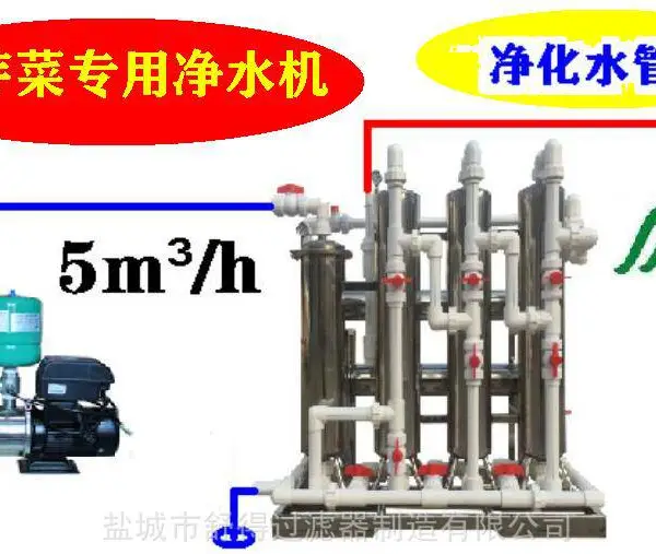 舒得井水过滤器河水净水器使用净化水无菌水培育豆芽菜好吃又卫生