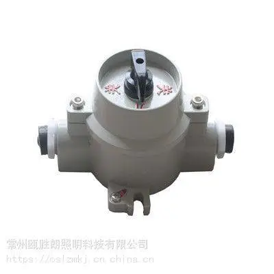 ������������SW-10ϵ��/220V380V/��ˮ�������ư�ť����10A�����Ƴ���
