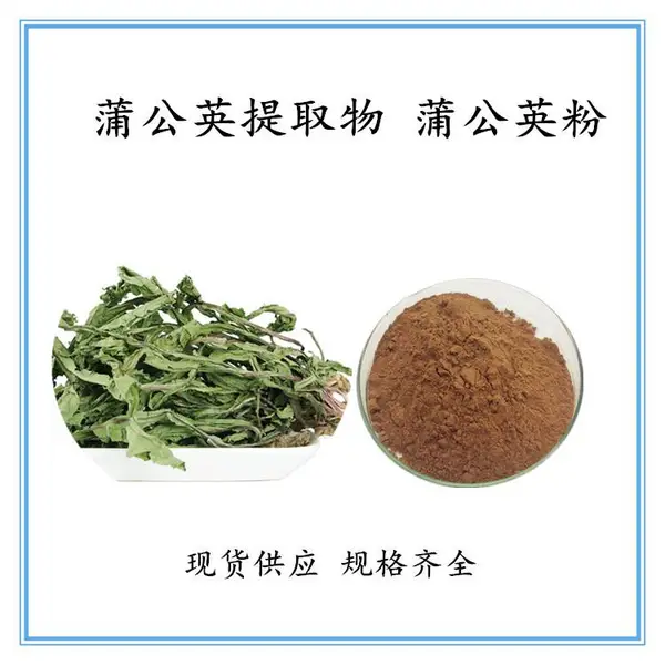 沃特莱斯供应 蒲公英提取物10:1浸膏粉 现货 高比例萃取 可按需定制