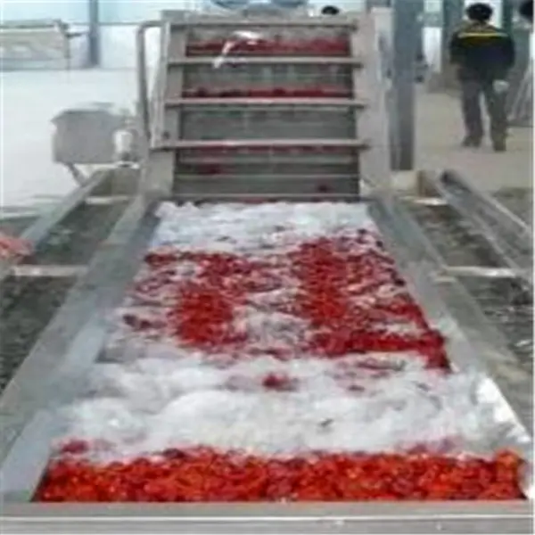 促销高压蔬菜清洗机/全自动葡萄气泡清洗风干线 风干机厂家直销