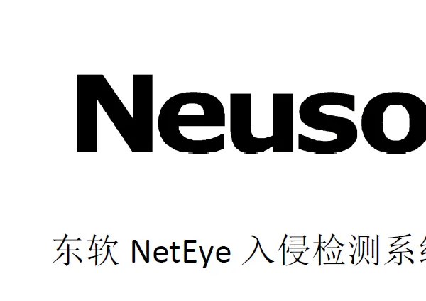 东软NetEye入侵检测系统IDS IDS2100