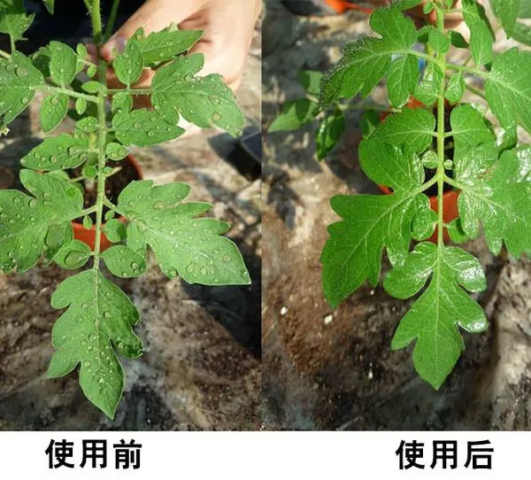 GT-248 有机硅农药化肥助剂高效展着润湿渗透