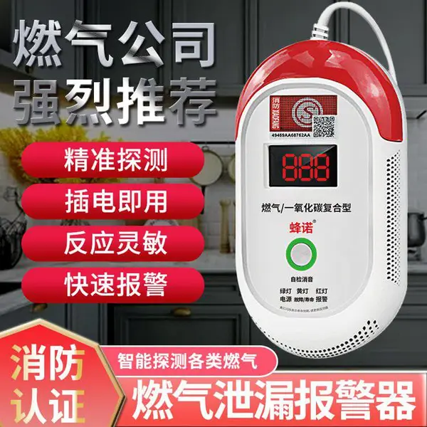 室内co一氧化碳报警器 家用蜂窝煤烟煤球煤炉探测器