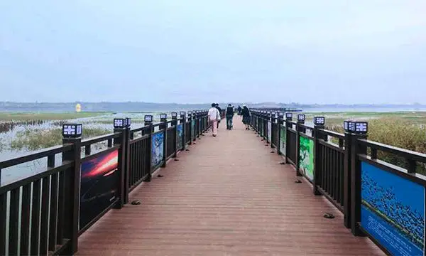 重庆网红水上浮桥造价 真诚推荐 上海旗华水上工程建设股份供应