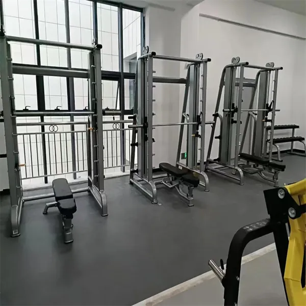 康力体育生产 健身器材有那些.厂家总代理 室内健身器械