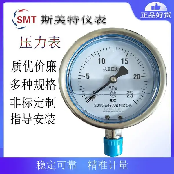 精密压力表 Y100 1.5级 0-1MPa M20×1.5 径向 本体304 螺纹316