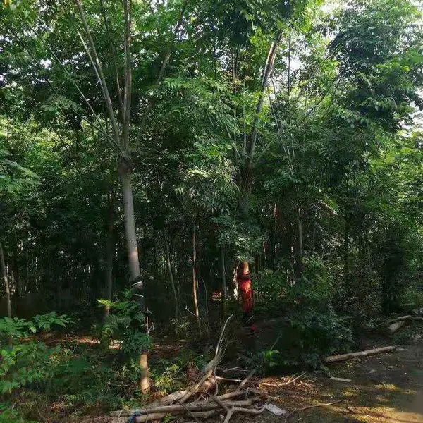 �����۸� 8���������۸� 9����������������