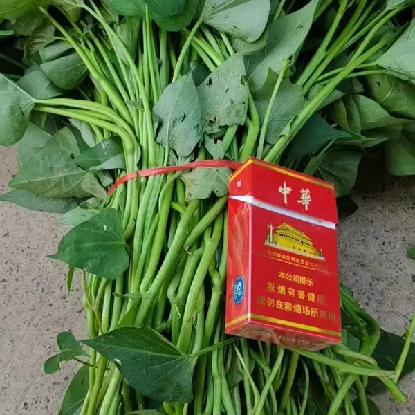 云南怒江脱毒高淀粉红薯苗基地烟薯25色彩鲜艳香甜可口甜度高