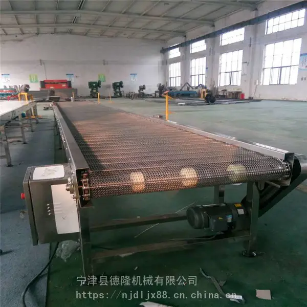 水饺速冻机304输送网链 冷冻机械网链输送机 链网传送带德隆非标定制