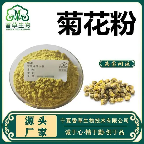 菊花粉80-120目 菊花萃取粉200目 菊花提取液 提取物 10:1
