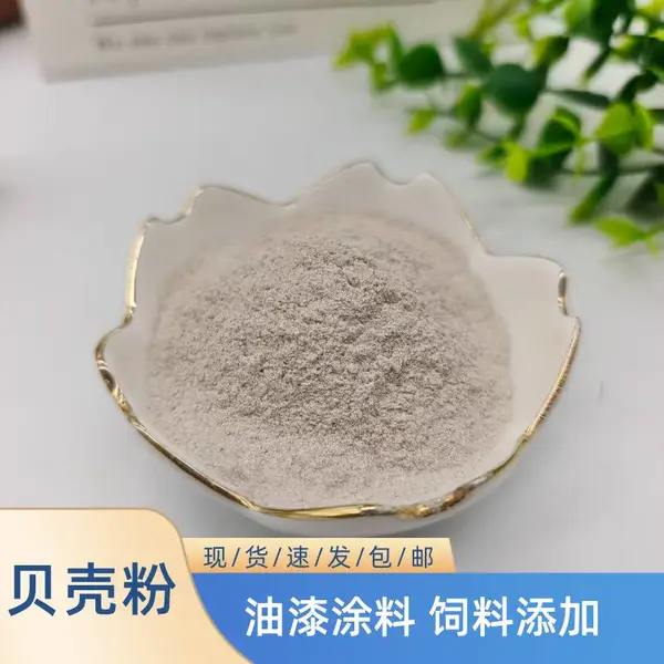 供应高白度涂料 贝壳粉 动物饲料补钙用 吸附干燥剂贝壳 粉