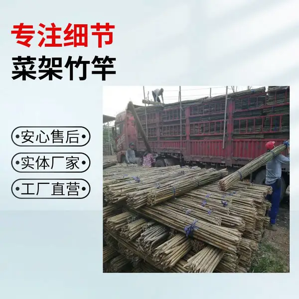 1.5米蔬菜爬藤竹竿 无毛刺烤竹 豆角黄瓜辣椒西红柿架杆
