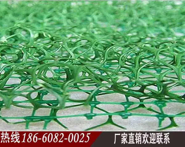 兰州三维植被网 兰州三维土工网垫厂家欢迎您
