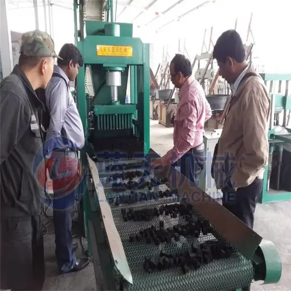 ���� ��ľˮ��̿�豸 ��ľˮ��̿�ӹ����� �Զ���