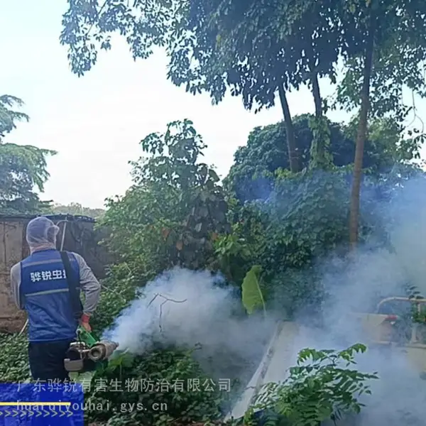 天津家庭除螨 天津除蟑螂本地公司 源头根除蚁害