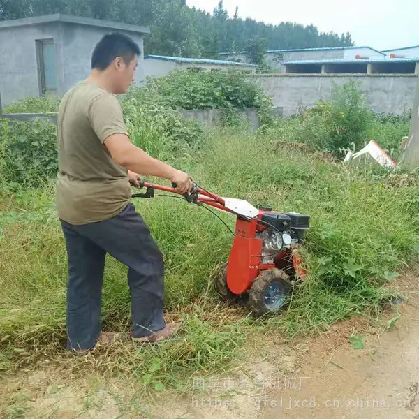 ũ�����ͼ��ݻ� ��������԰���ݻ� ʥ³ũ���԰�Ӳ��޼���