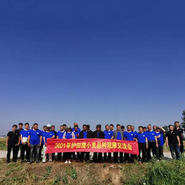 装修公司常州工作服金坛广告衫制作的工艺流程搬家家政保洁临汾