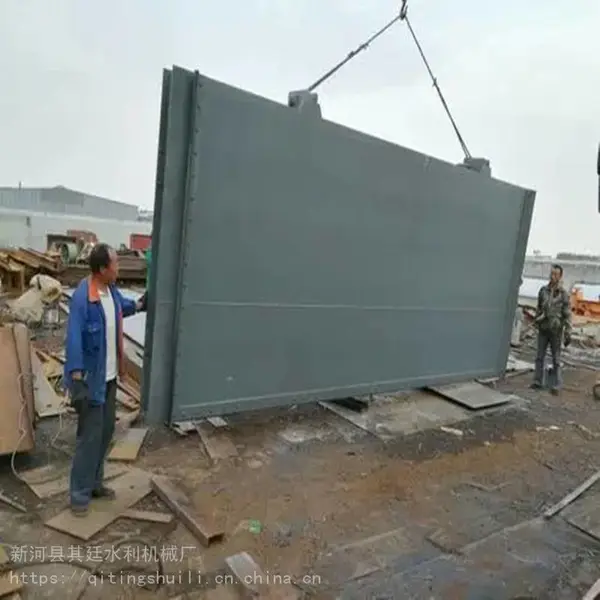 平面滑轮闸门 不锈钢渠道闸门 其廷
