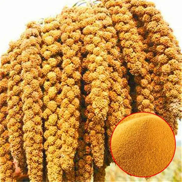 小型家用立式稻谷碾米机 水稻谷子砂辊打米机 玉米黄豆脱皮机