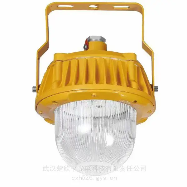 SEVA尚为LED防爆灯SZSW7151-50W-YS 220V 250*195mm压铸铝外壳