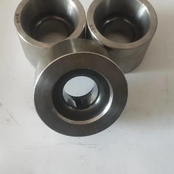 钨钢拉丝模具 永年钨钢拔丝模具 邯一牌拉丝模具-利盈模具制造