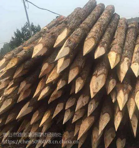 ���ڹ�Ӧ�ӱ��ȷ��ӵ�����ɼľ׮_���_����ľ