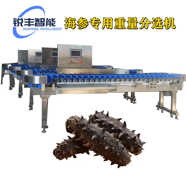 生蚝海参重量分选机 省时省人工效***按重量分类分拣机