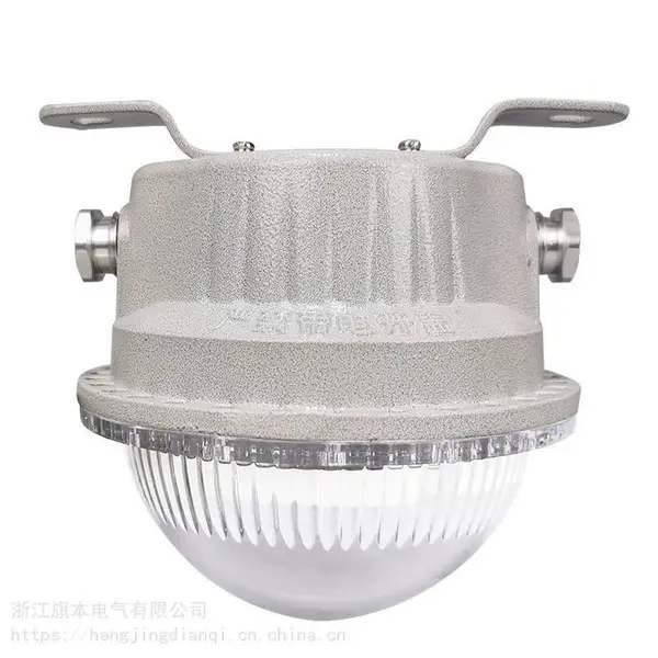 BFC6180防爆LED灯 防尘防腐吸顶灯 工业照明灯 泛光灯具