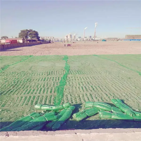 城市施工苫盖网 六针绿色防尘网 三针遮阳网盖土网