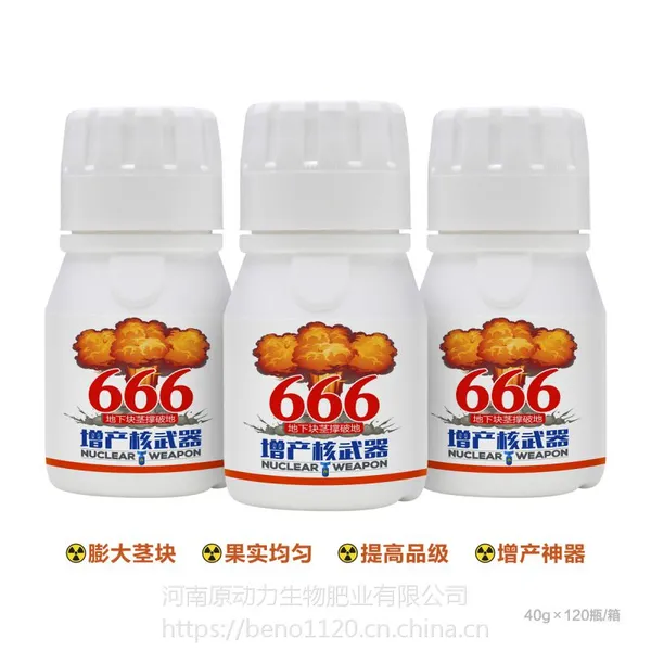 地下块茎撑破地——倍诺666地下果实膨大剂