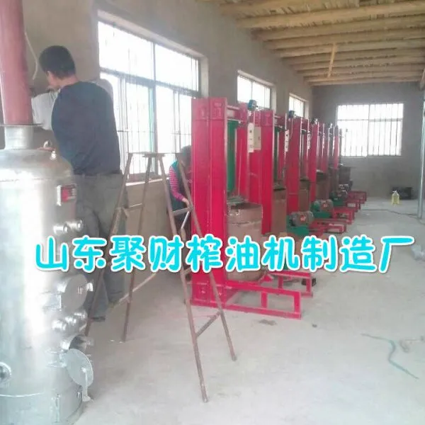 江苏聚财牌榨油机商用创业选择 一机多用压榨大豆菜籽榨油机械