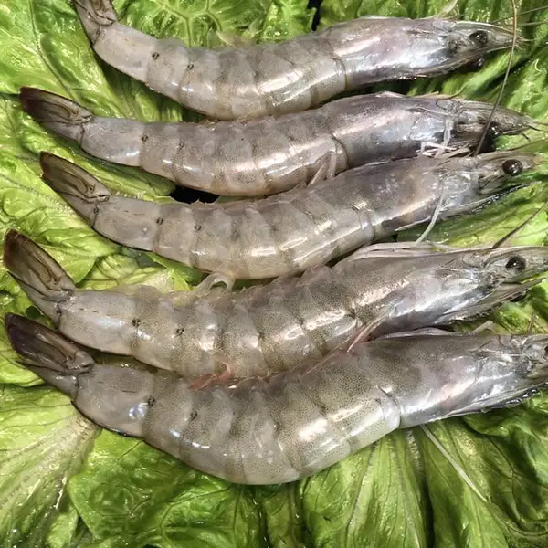 对虾一手货源 熟冻南美白虾海虾批发