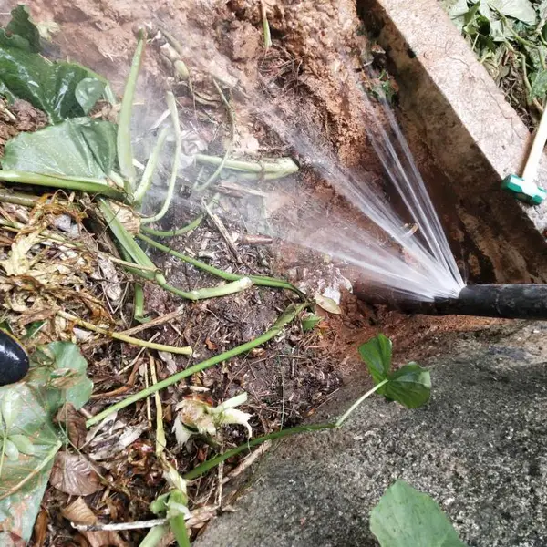 管道漏水测漏,家装楼房测漏水电话,水管漏水探测电话