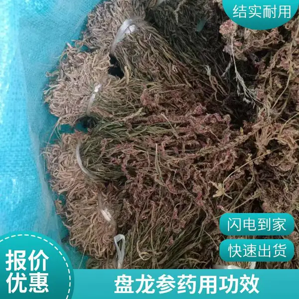 奇弘堂野生盘龙参原药材 袋装正品 药用级精选