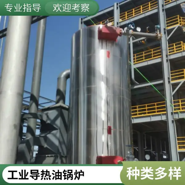 撬装燃气有机热载体锅炉轻油导热油锅炉20吨立式50吨联锁保护OEM定制现货枫岚