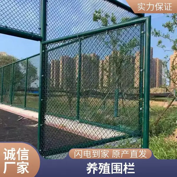 组装U型卡式篮球场围网 体育场护栏 车间机器防护网 低碳钢丝勾花网